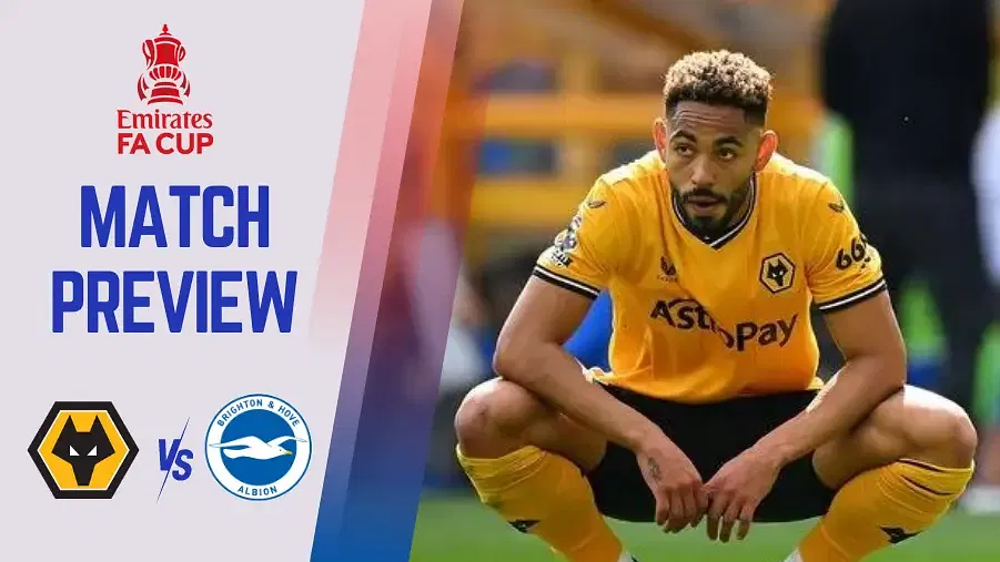 Wolves vs Brighton